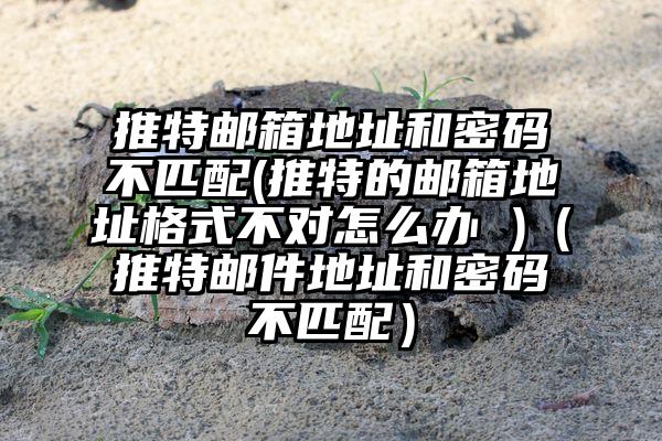 推特邮箱地址和密码不匹配(推特的邮箱地址格式不对怎么办 )（推特邮件地址和密码不匹配）