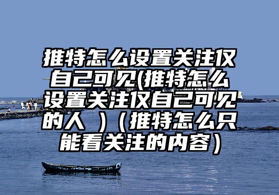 推特怎么设置关注仅自己可见(推特怎么设置关注仅自己可见的人 )（推特怎么只能看关注的内容）