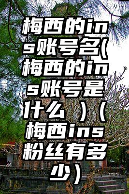 梅西的ins账号名(梅西的ins账号是什么 )（梅西ins粉丝有多少）