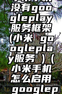 小米手机没有googleplay服务框架(小米 googleplay服务 )（小米手机怎么启用googleplay服务）