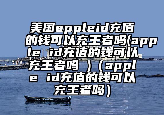 美国appleid充值的钱可以充王者吗(apple id充值的钱可以充王者吗 )（apple id充值的钱可以充王者吗）