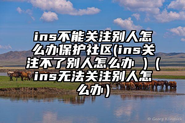 ins不能关注别人怎么办保护社区(ins关注不了别人怎么办 )（ins无法关注别人怎么办）