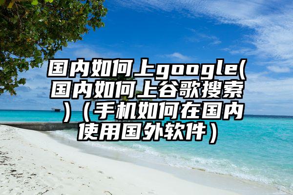 国内如何上google(国内如何上谷歌搜索 )（手机如何在国内使用国外软件）