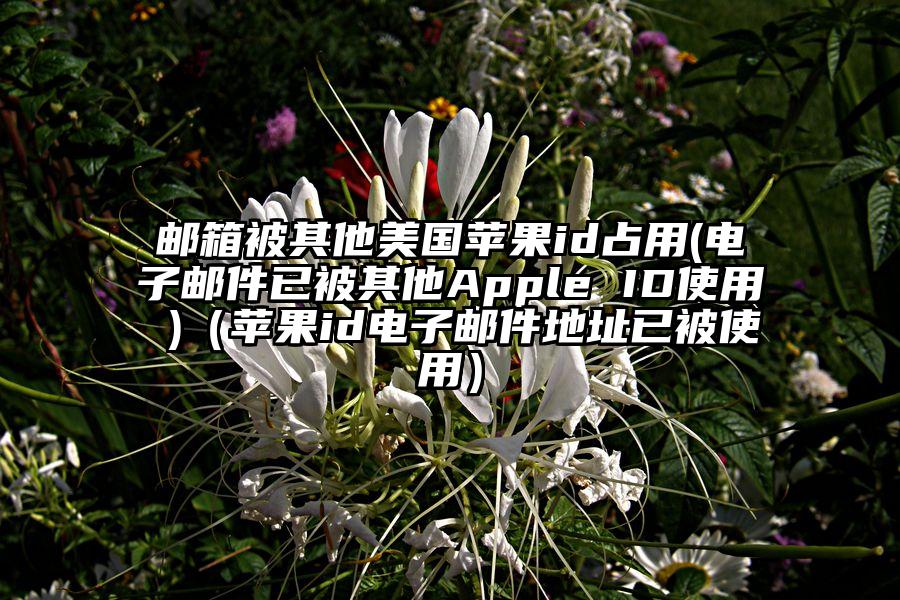 邮箱被其他美国苹果id占用(电子邮件已被其他Apple ID使用 )（苹果id电子邮件地址已被使用）