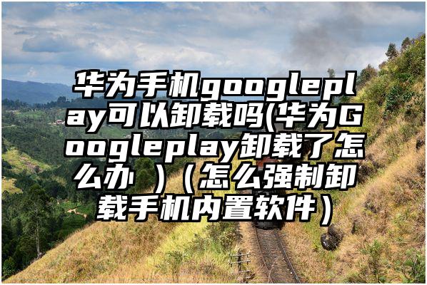 华为手机googleplay可以卸载吗(华为Googleplay卸载了怎么办 )（怎么强制卸载手机内置软件）