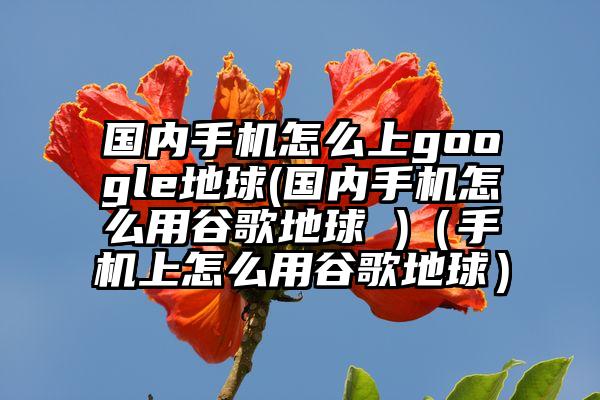 国内手机怎么上google地球(国内手机怎么用谷歌地球 )（手机上怎么用谷歌地球）