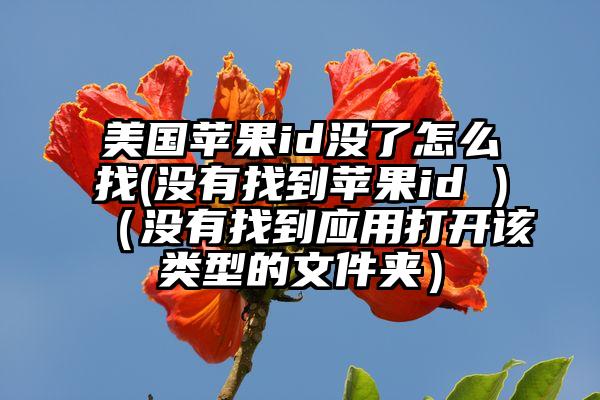 美国苹果id没了怎么找(没有找到苹果id )（没有找到应用打开该类型的文件夹）