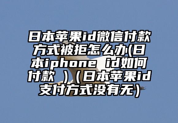 日本苹果id微信付款方式被拒怎么办(日本iphone id如何付款 )（日本苹果id支付方式没有无）