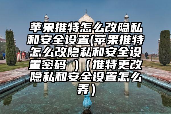 苹果推特怎么改隐私和安全设置(苹果推特怎么改隐私和安全设置密码 )（推特更改隐私和安全设置怎么弄）