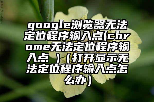 google浏览器无法定位程序输入点(chrome无法定位程序输入点 )（打开显示无法定位程序输入点怎么办）