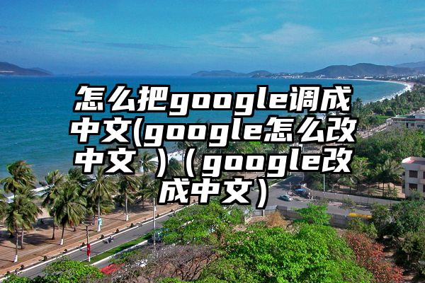 怎么把google调成中文(google怎么改中文 )（google改成中文）