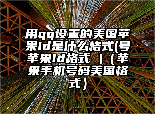 用qq设置的美国苹果id是什么格式(号苹果id格式 )（苹果手机号码美国格式）