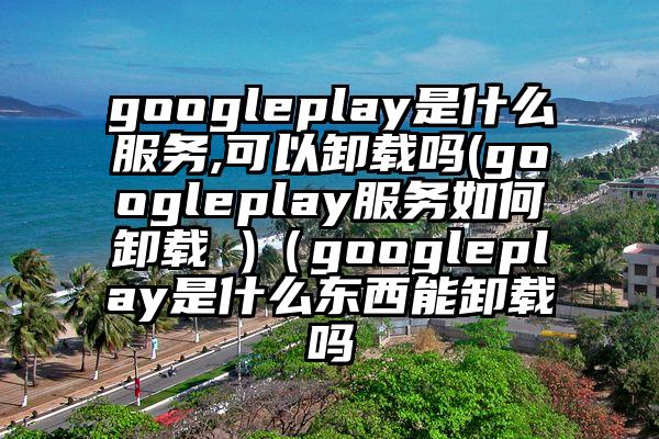 googleplay是什么服务,可以卸载吗(googleplay服务如何卸载 )（googleplay是什么东西能卸载吗