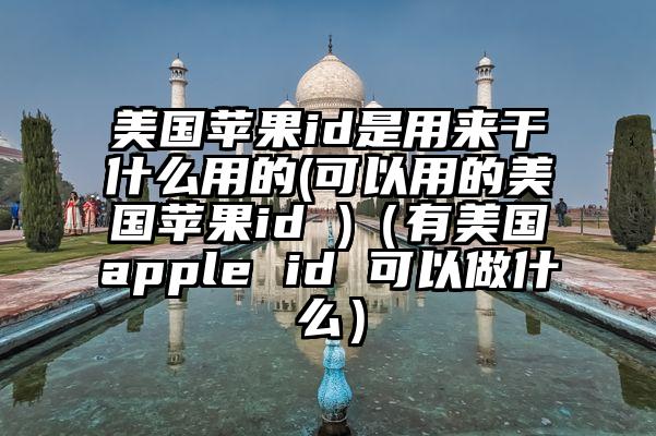 美国苹果id是用来干什么用的(可以用的美国苹果id )（有美国apple id 可以做什么）