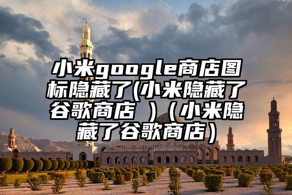 小米google商店图标隐藏了(小米隐藏了谷歌商店 )（小米隐藏了谷歌商店）