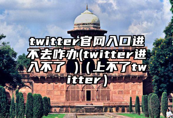 twitter官网入口进不去咋办(twitter进入不了 )（上不了twitter）