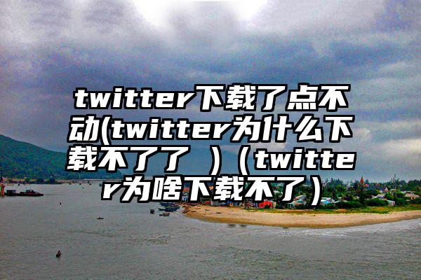 twitter下载了点不动(twitter为什么下载不了了 )（twitter为啥下载不了）