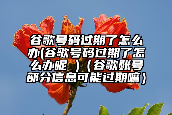 谷歌号码过期了怎么办(谷歌号码过期了怎么办呢 )（谷歌账号部分信息可能过期嘛）