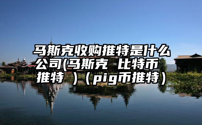 马斯克收购推特是什么公司(马斯克 比特币 推特 )（pig币推特）