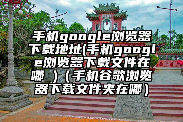 手机google浏览器下载地址(手机google浏览器下载文件在哪 )（手机谷歌浏览器下载文件夹在哪）