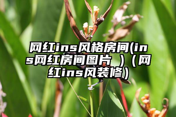 网红ins风格房间(ins网红房间图片 )（网红ins风装修）