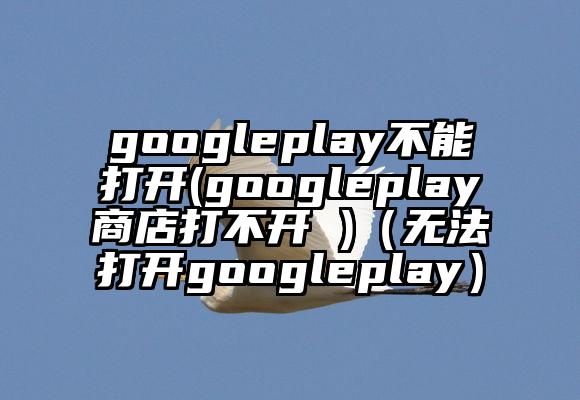 googleplay不能打开(googleplay商店打不开 )（无法打开googleplay）