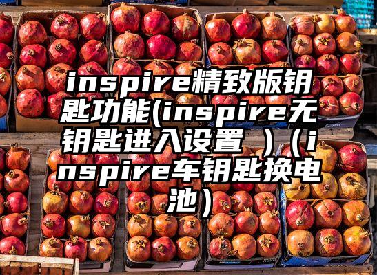 inspire精致版钥匙功能(inspire无钥匙进入设置 )（inspire车钥匙换电池）