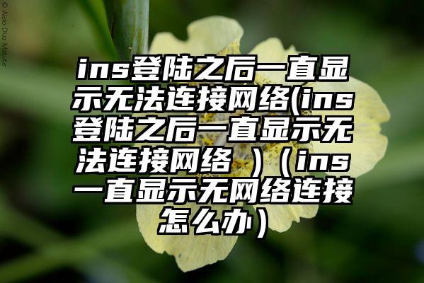 ins登陆之后一直显示无法连接网络(ins登陆之后一直显示无法连接网络 )（ins一直显示无网络连接怎么办）