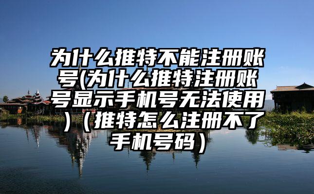 为什么推特不能注册账号(为什么推特注册账号显示手机号无法使用 )（推特怎么注册不了手机号码）