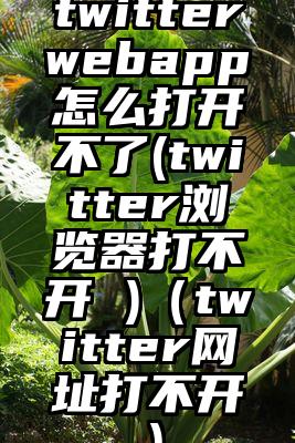 twitterwebapp怎么打开不了(twitter浏览器打不开 )（twitter网址打不开）