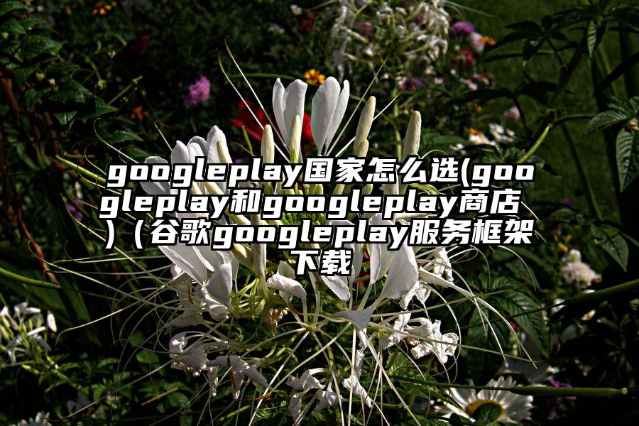 googleplay国家怎么选(googleplay和googleplay商店 )（谷歌googleplay服务框架下载