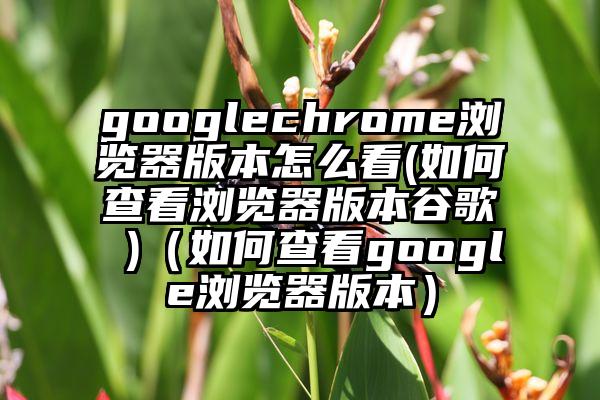 googlechrome浏览器版本怎么看(如何查看浏览器版本谷歌 )（如何查看google浏览器版本）