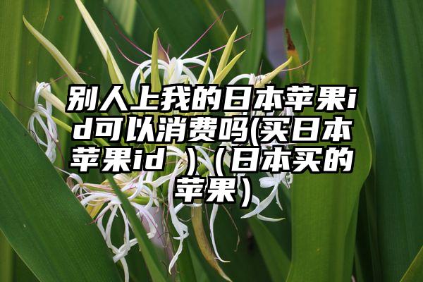 别人上我的日本苹果id可以消费吗(买日本苹果id )（日本买的苹果）