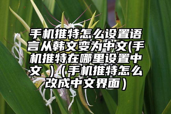 手机推特怎么设置语言从韩文变为中文(手机推特在哪里设置中文 )（手机推特怎么改成中文界面）