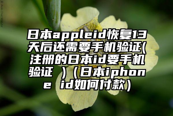 日本appleid恢复13天后还需要手机验证(注册的日本id要手机验证 )（日本iphone id如何付款）