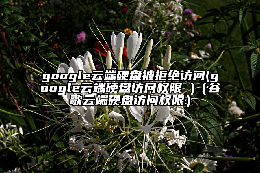 google云端硬盘被拒绝访问(google云端硬盘访问权限 )（谷歌云端硬盘访问权限）