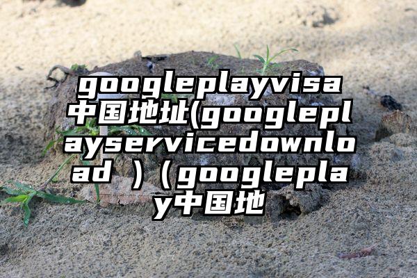 googleplayvisa中国地址(googleplayservicedownload )（googleplay中国地