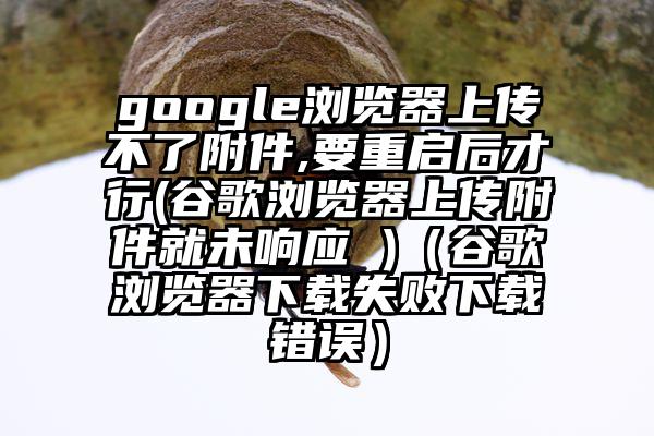 google浏览器上传不了附件,要重启后才行(谷歌浏览器上传附件就未响应 )（谷歌浏览器下载失败下载错误）