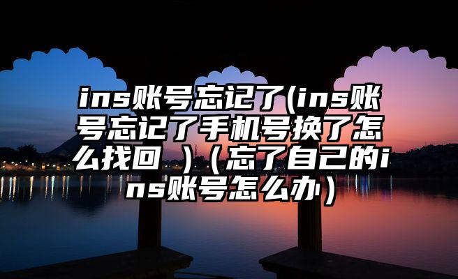 ins账号忘记了(ins账号忘记了手机号换了怎么找回 )（忘了自己的ins账号怎么办）