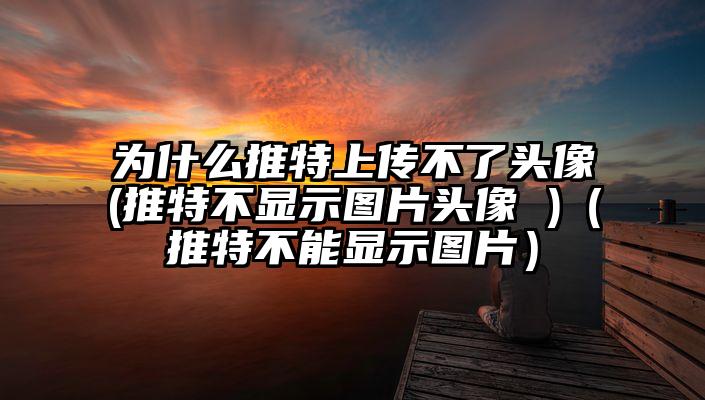 为什么推特上传不了头像(推特不显示图片头像 )（推特不能显示图片）