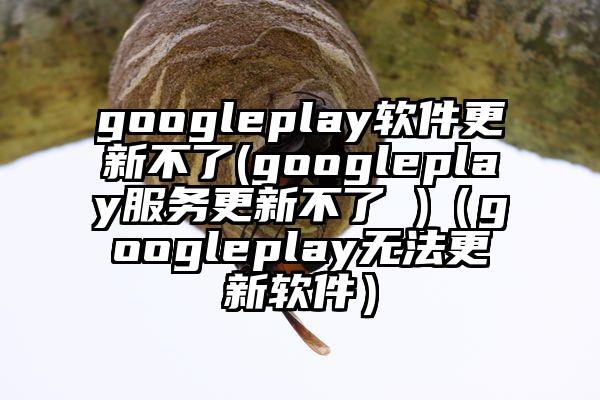 googleplay软件更新不了(googleplay服务更新不了 )（googleplay无法更新软件）