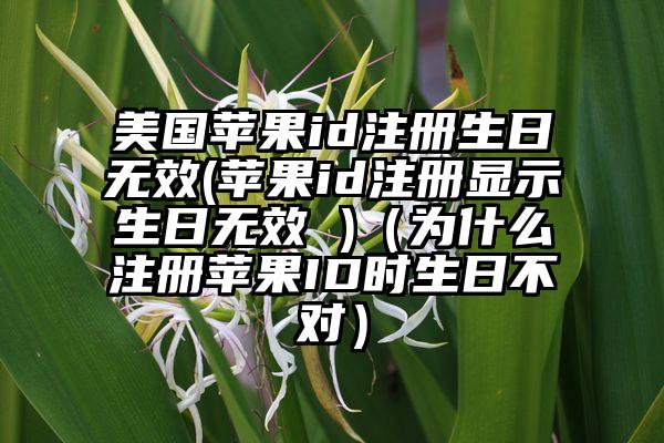 美国苹果id注册生日无效(苹果id注册显示生日无效 )（为什么注册苹果ID时生日不对）