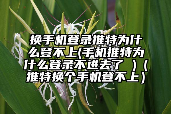 换手机登录推特为什么登不上(手机推特为什么登录不进去了 )（推特换个手机登不上）