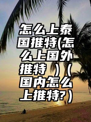 怎么上泰国推特(怎么上国外推特 )（国内怎么上推特?）