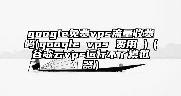 google免费vps流量收费吗(google vps 费用 )（谷歌云vps运行不了模拟器）