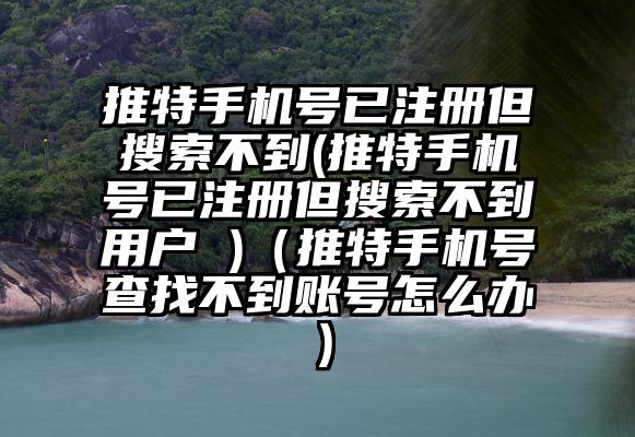 推特手机号已注册但搜索不到(推特手机号已注册但搜索不到用户 )（推特手机号查找不到账号怎么办）