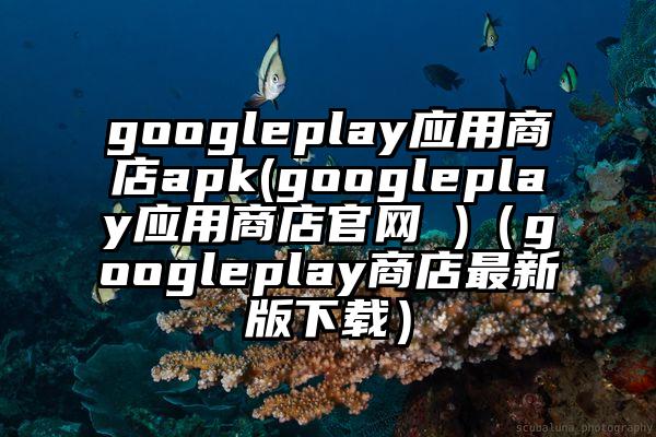 googleplay应用商店apk(googleplay应用商店官网 )（googleplay商店最新版下载）