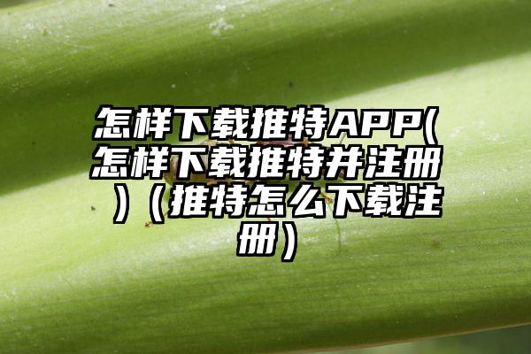 怎样下载推特APP(怎样下载推特并注册 )（推特怎么下载注册）