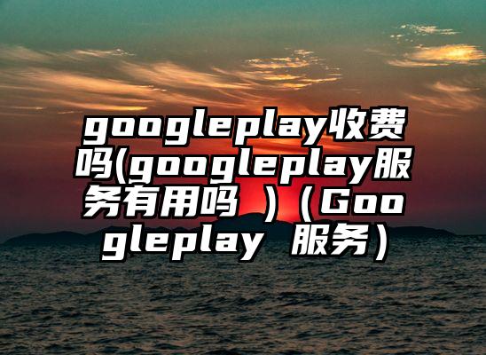 googleplay收费吗(googleplay服务有用吗 )（Googleplay 服务）