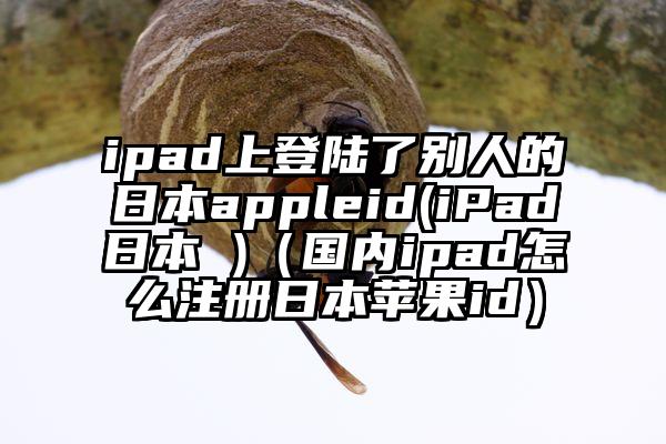 ipad上登陆了别人的日本appleid(iPad日本 )（国内ipad怎么注册日本苹果id）